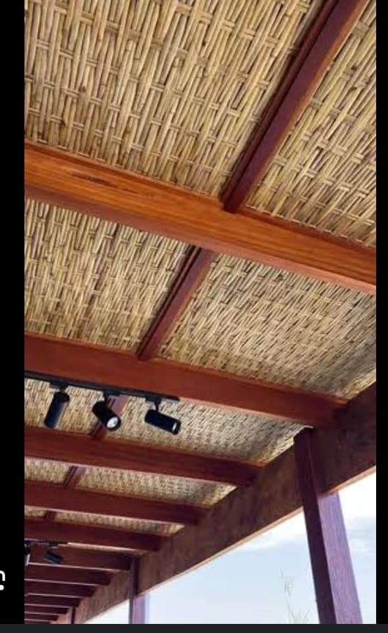 Bambu — foto