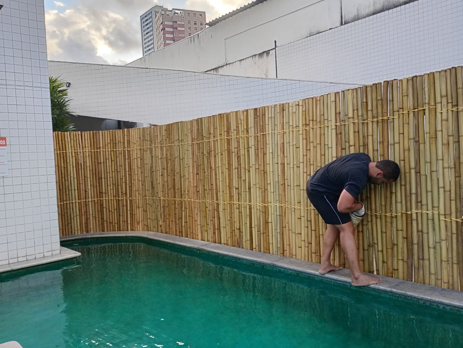 Bambu — foto