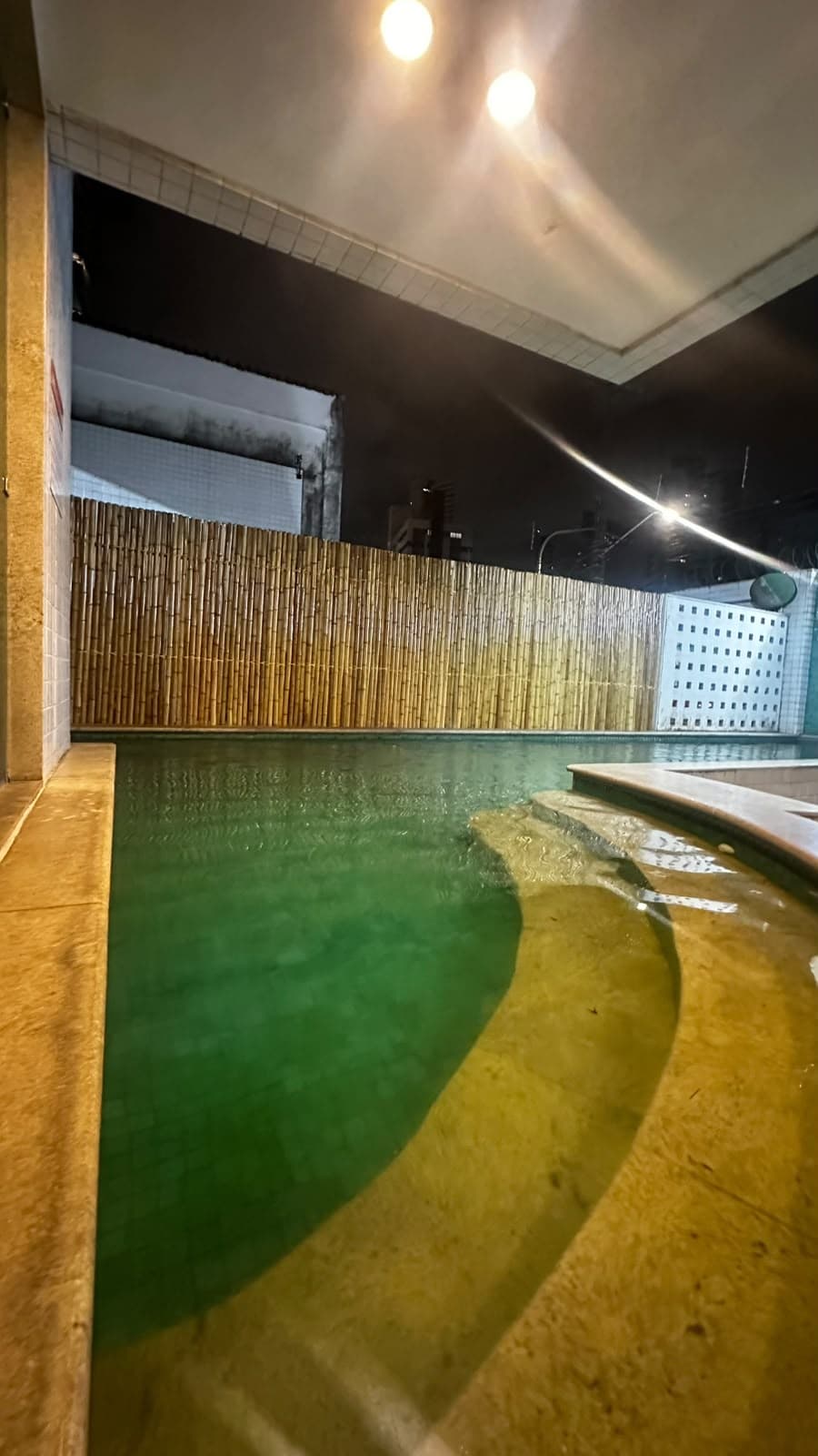 Bambu — foto