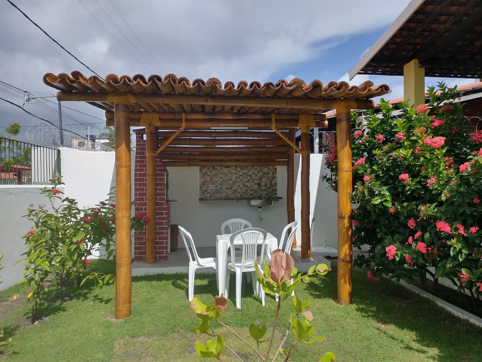 Bambu — foto